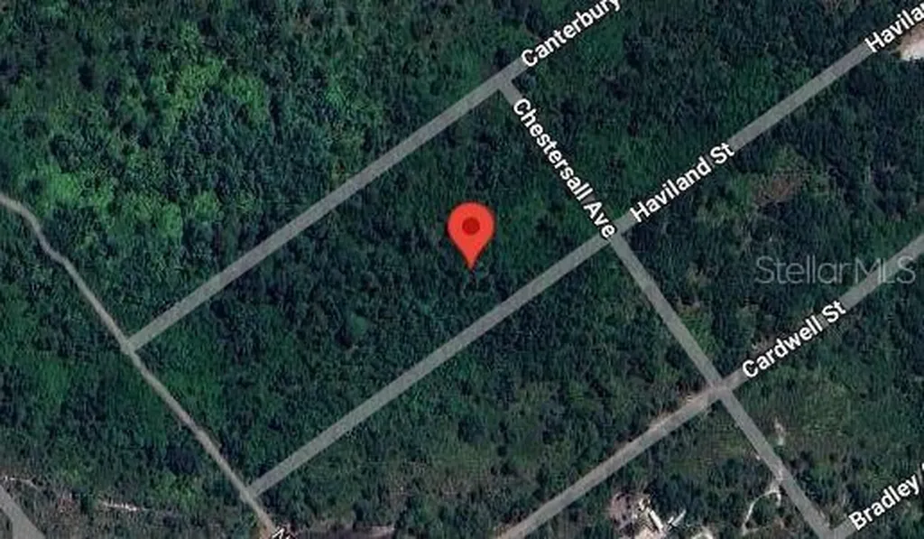 1210 Haviland Street Lake Placid FL 33852
