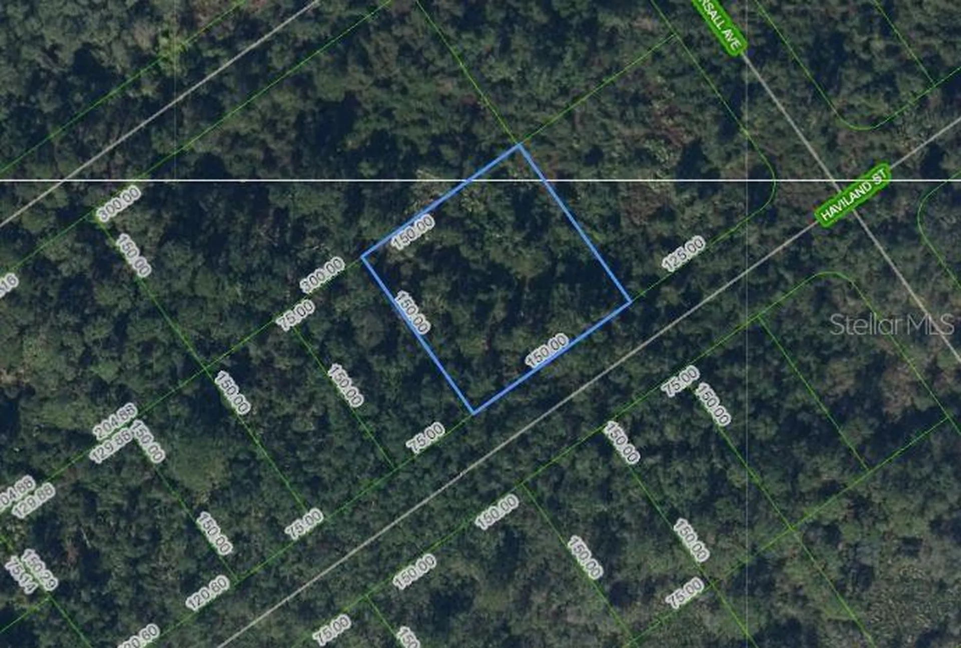 1210 Haviland Street Lake Placid FL 33852