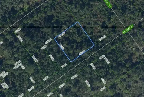 1210 Haviland Street Lake Placid FL 33852