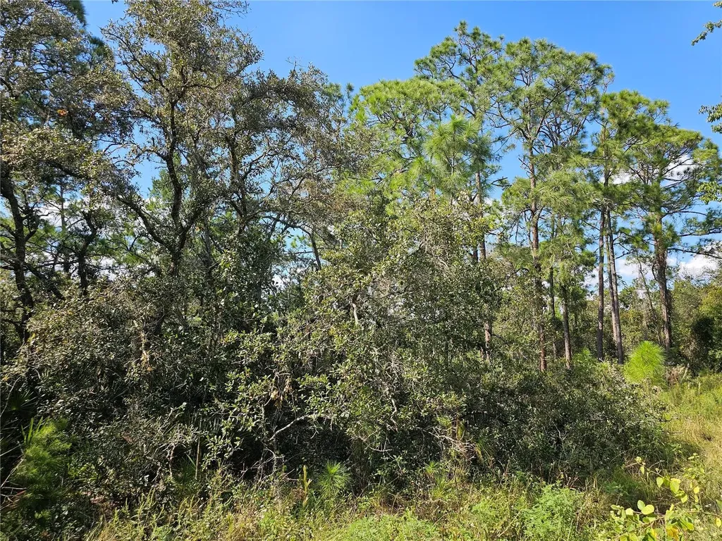 7105 Orchid Place Sebring FL 33875