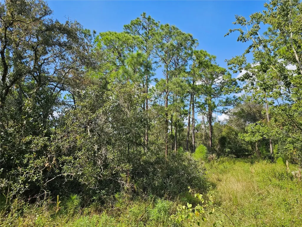 7105 Orchid Place Sebring FL 33875