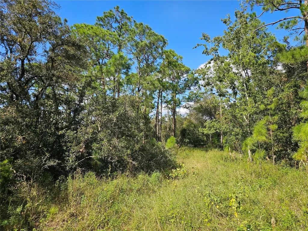 7105 Orchid Place Sebring FL 33875