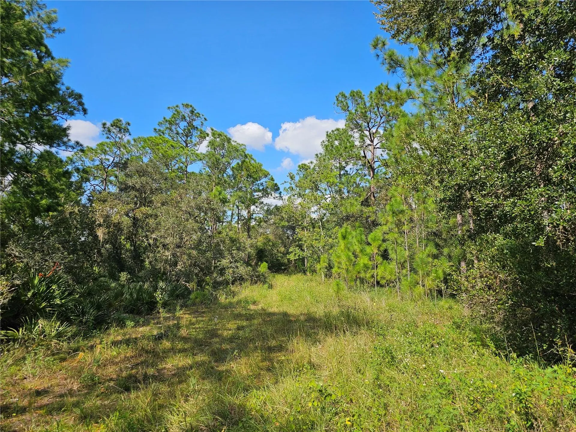 7105 Orchid Place Sebring FL 33875