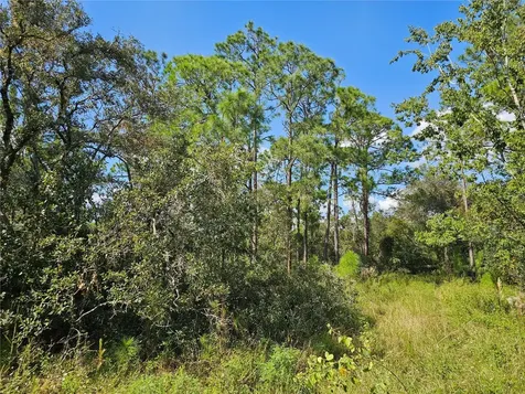 7105 Orchid Place Sebring FL 33875