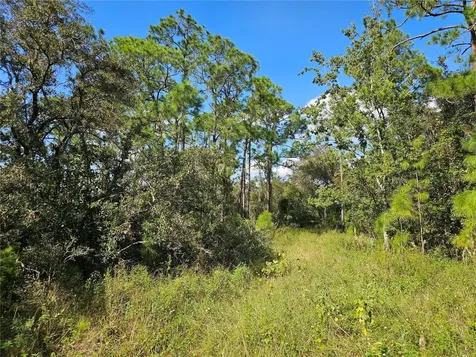 7105 Orchid Place Sebring FL 33875