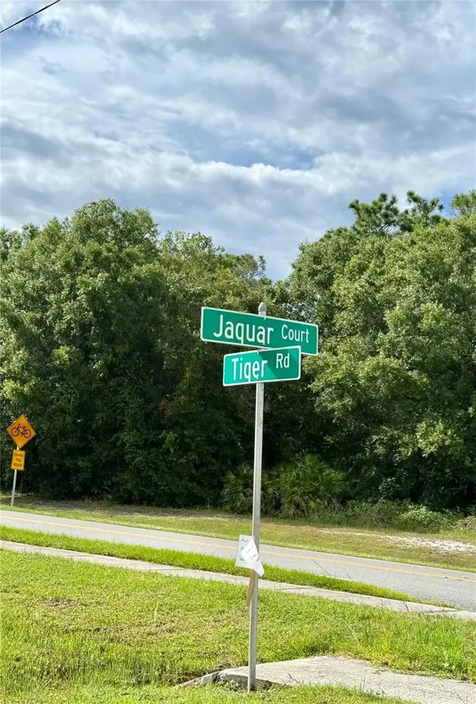 638 Jaguar Court Kissimmee FL 34759