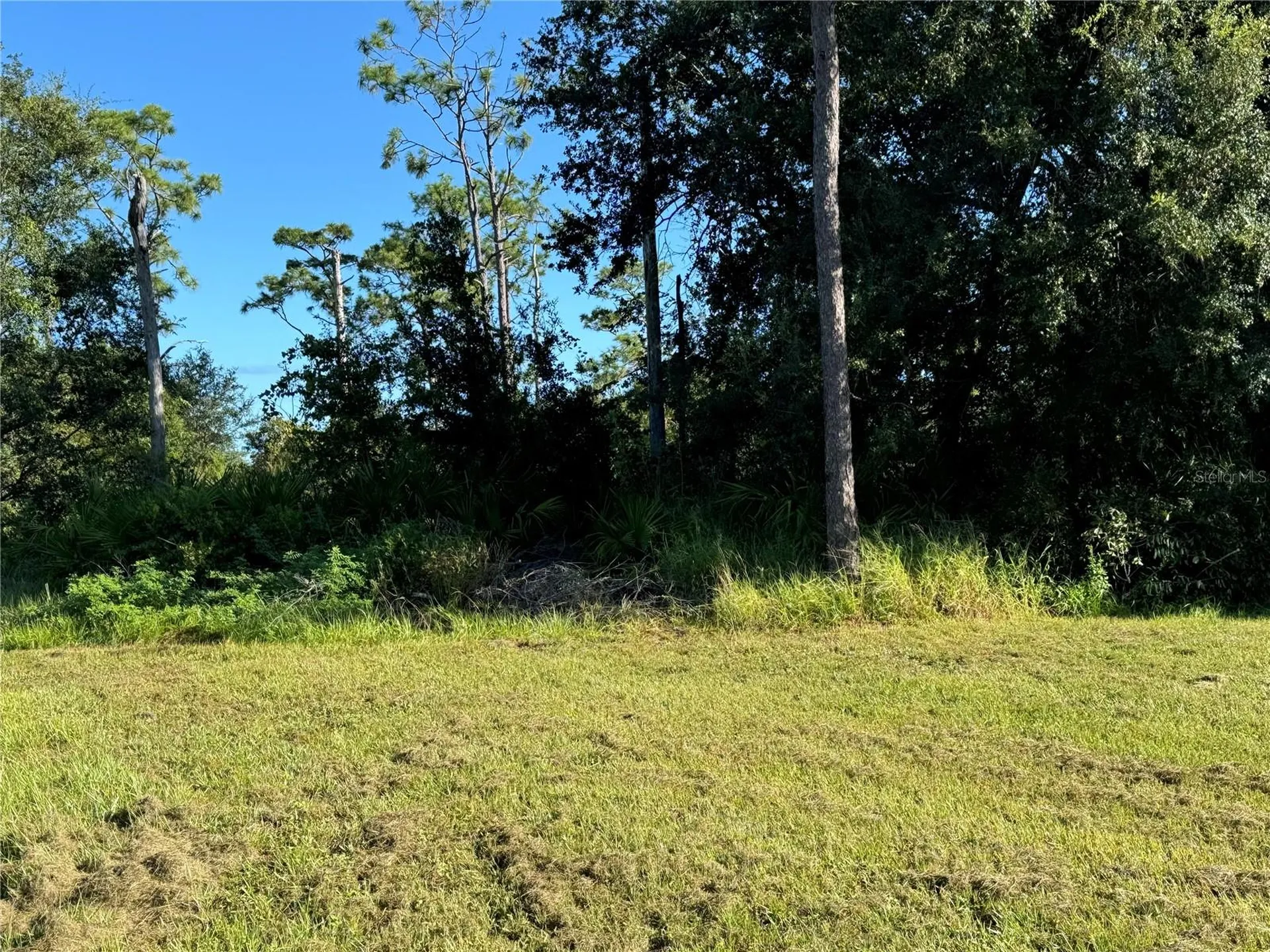 638 Jaguar Court Kissimmee FL 34759