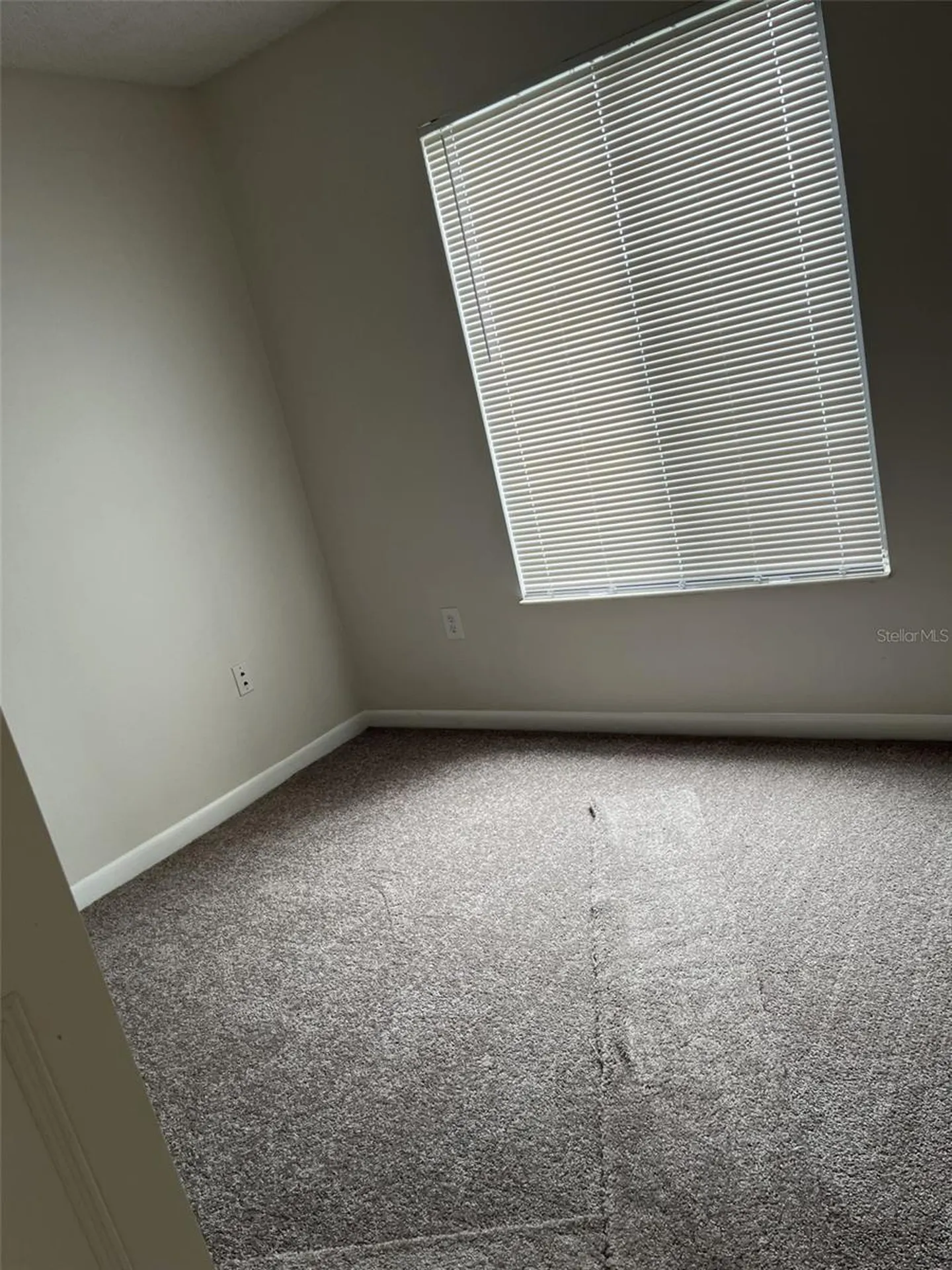 2688 Pine Ridge Way N Palm Harbor FL 34684