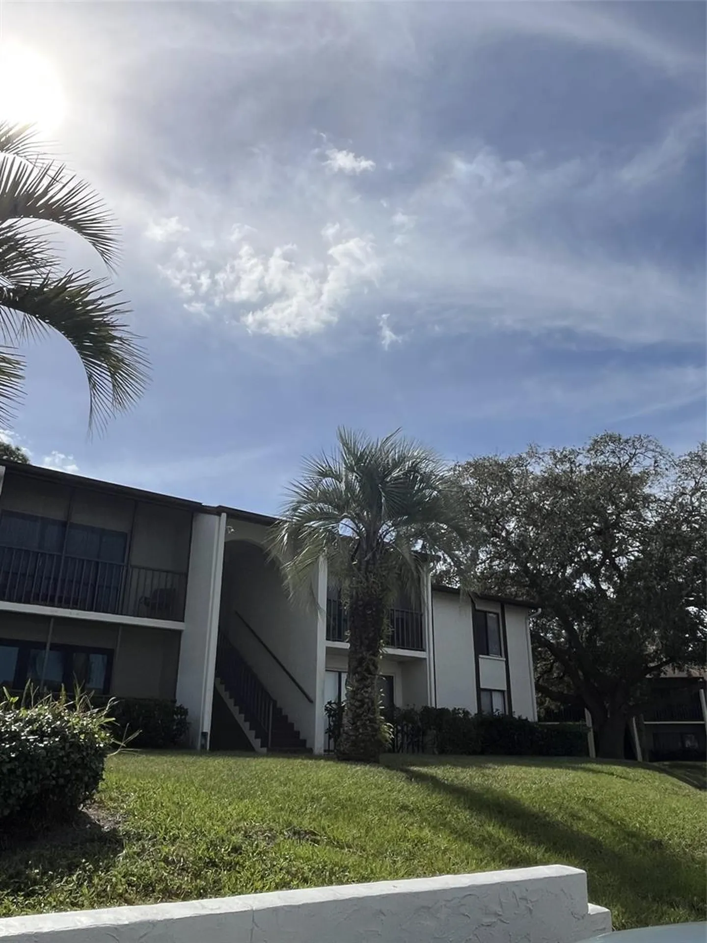 2688 Pine Ridge Way N Palm Harbor FL 34684