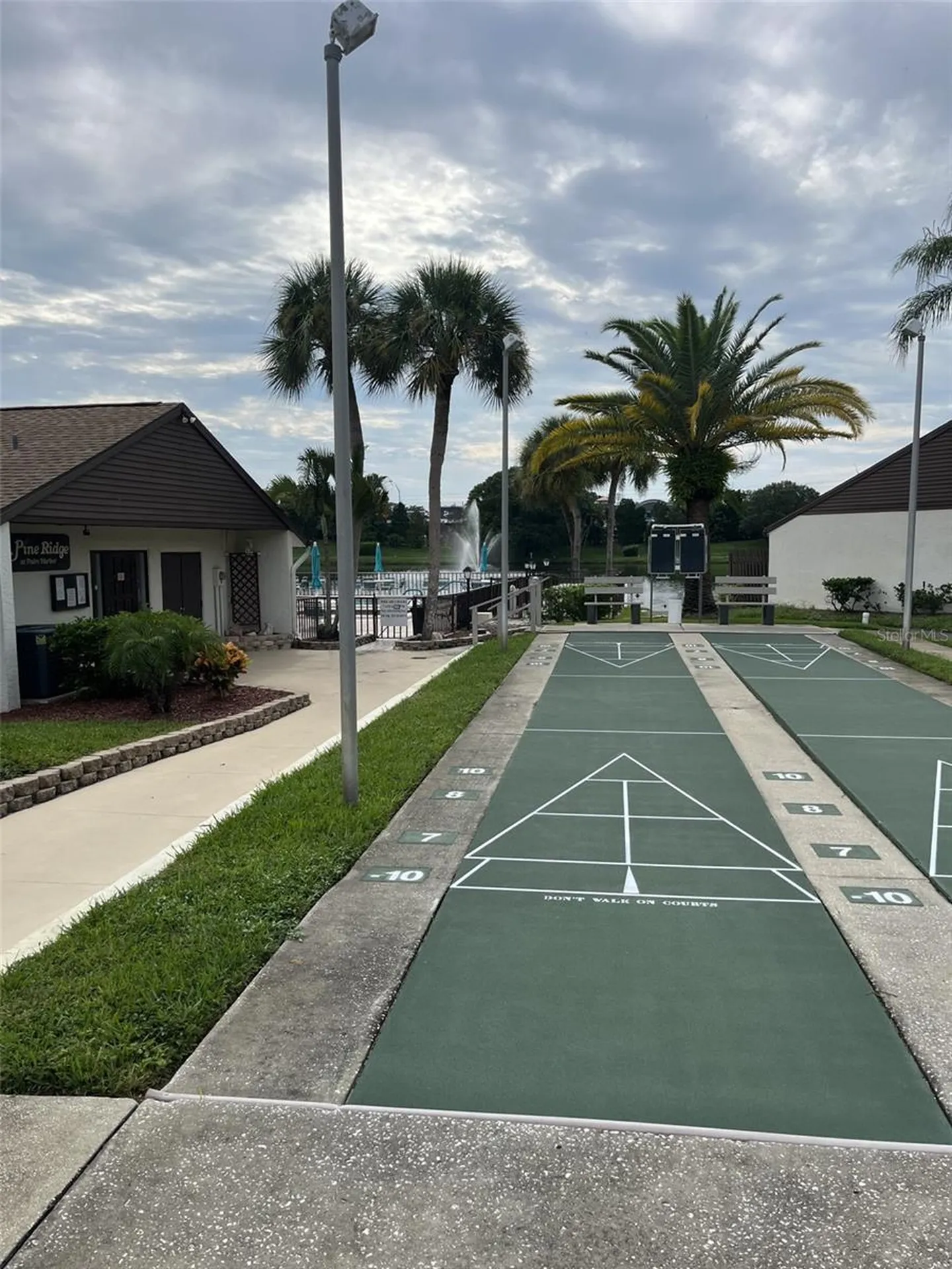 2688 Pine Ridge Way N Palm Harbor FL 34684