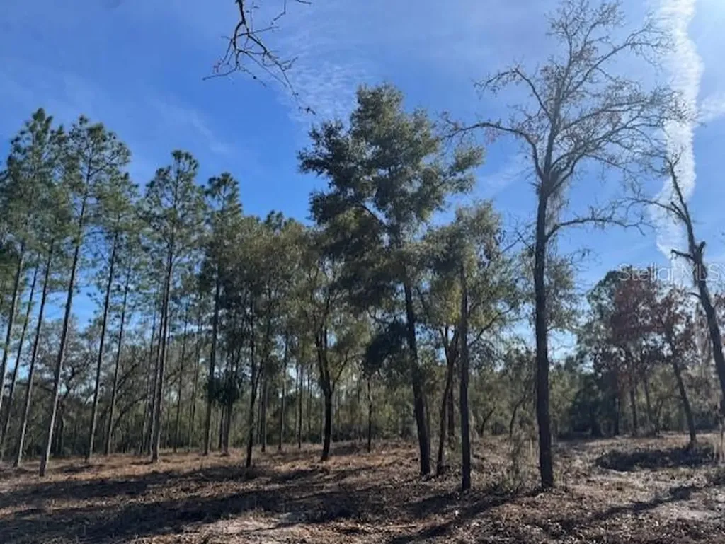 11901 NE 150th Avenue Road Fort Mc Coy FL 32134