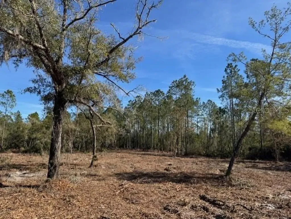 11901 NE 150th Avenue Road Fort Mc Coy FL 32134