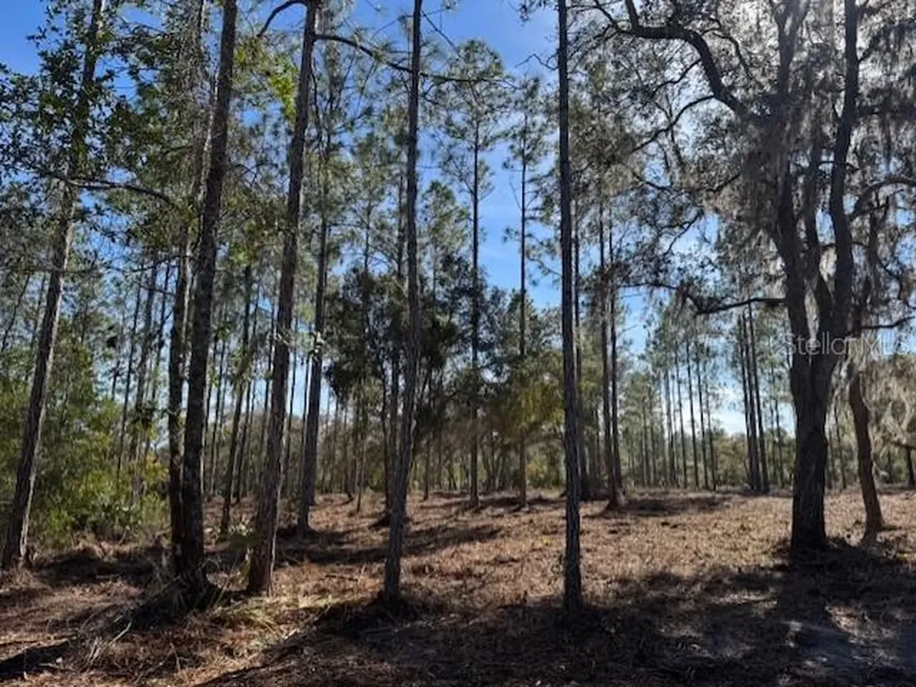 11901 NE 150th Avenue Road Fort Mc Coy FL 32134