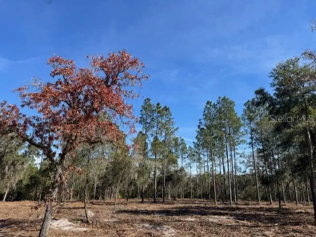 11901 NE 150th Avenue Road Fort Mc Coy FL 32134