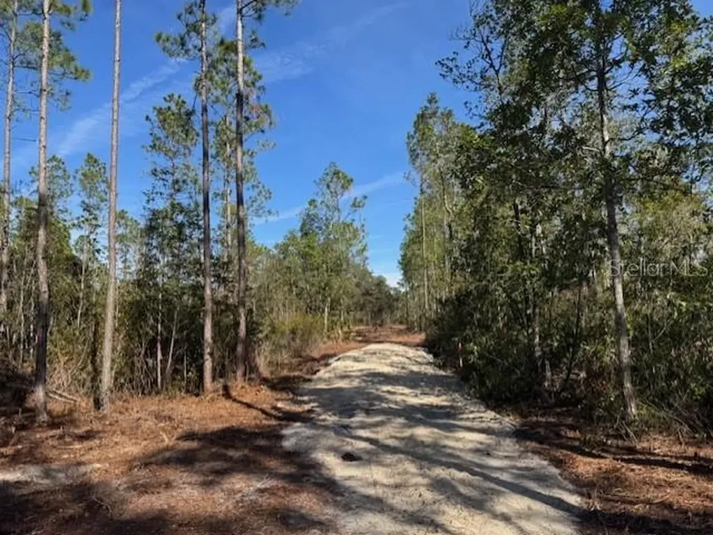 11901 NE 150th Avenue Road Fort Mc Coy FL 32134