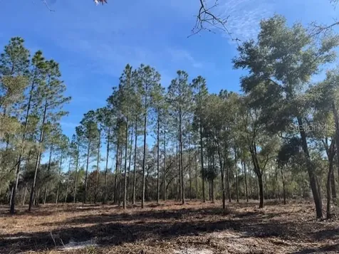11901 NE 150th Avenue Road Fort Mc Coy FL 32134