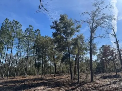 11901 NE 150th Avenue Road Fort Mc Coy FL 32134