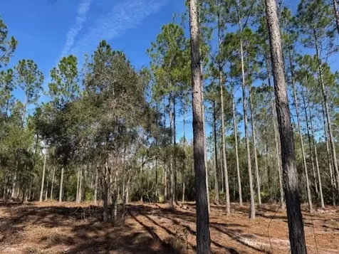 11901 NE 150th Avenue Road Fort Mc Coy FL 32134