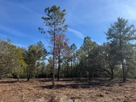 11901 NE 150th Avenue Road Fort Mc Coy FL 32134