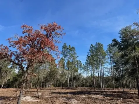 11901 NE 150th Avenue Road Fort Mc Coy FL 32134