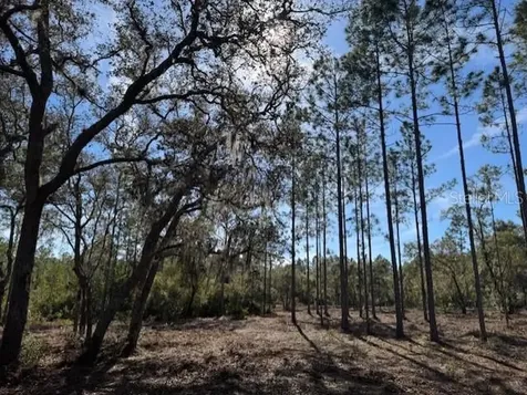 11901 NE 150th Avenue Road Fort Mc Coy FL 32134