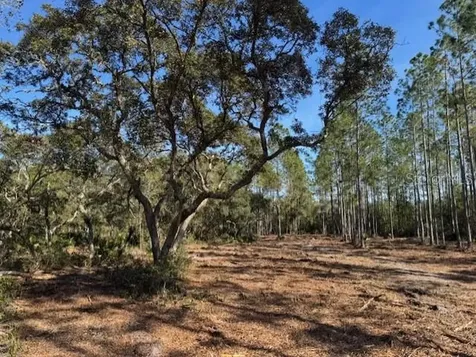 11901 NE 150th Avenue Road Fort Mc Coy FL 32134