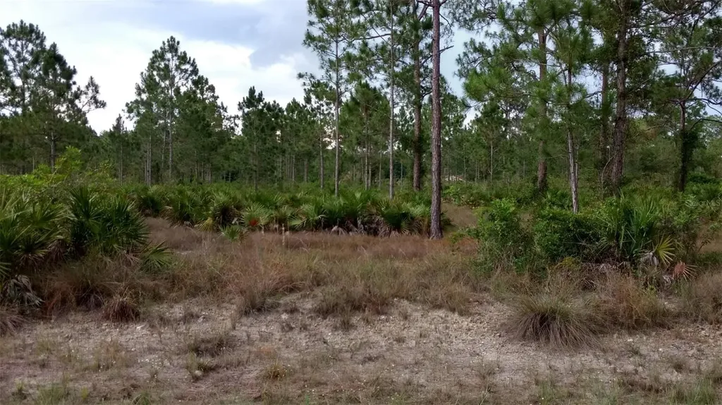 1508 Washington Avenue Lehigh Acres FL 33972