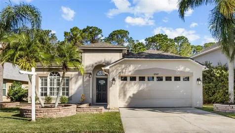 12527 Sparkleberry Road Tampa FL 33626