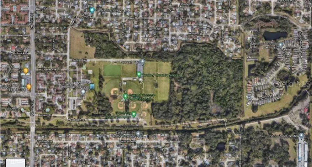 Armand Drive Tampa FL 33634