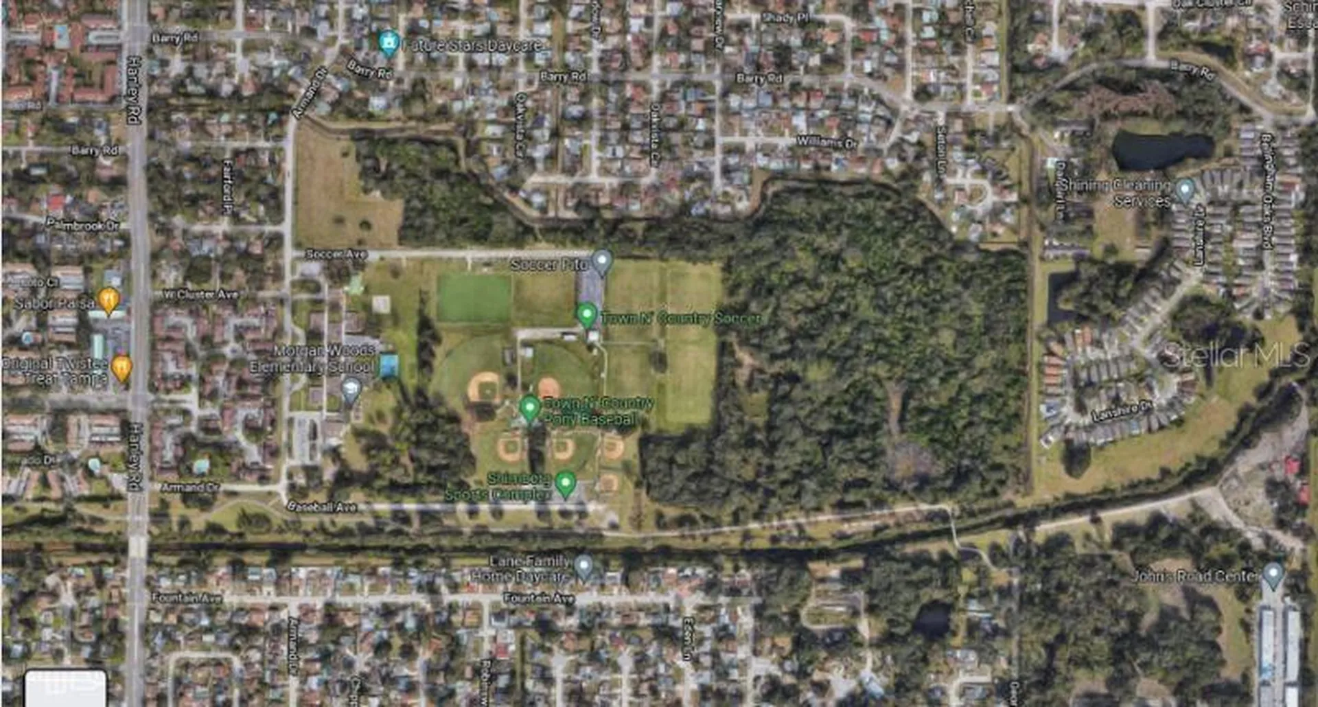 Armand Drive Tampa FL 33634