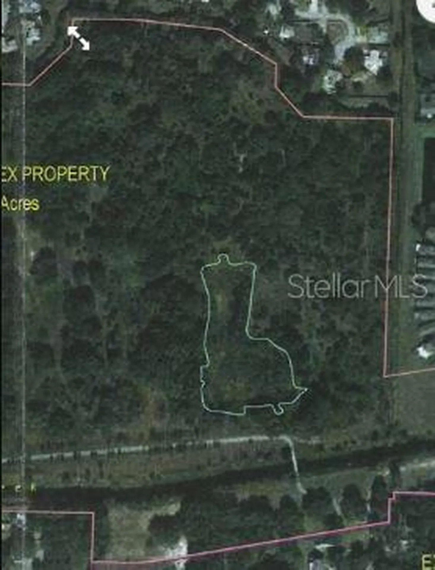 Armand Drive Tampa FL 33634