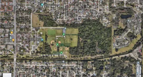 Armand Drive Tampa FL 33634