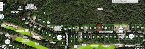271 W Eridani Court Citrus Springs FL 34434