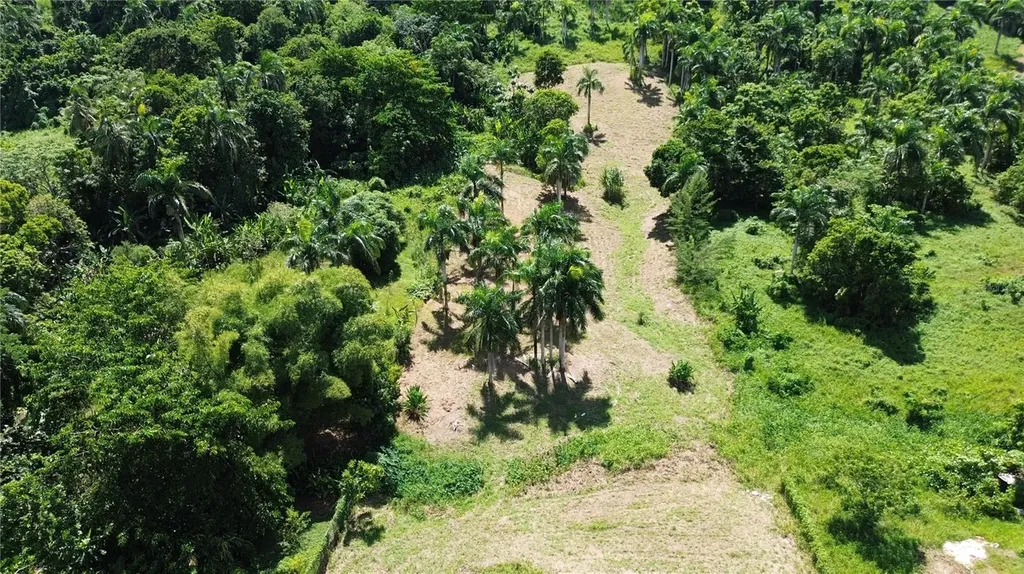 PR-992 Km 5.7 Bello Sitio Mameyes, Lot 9 Luquillo PR 00773