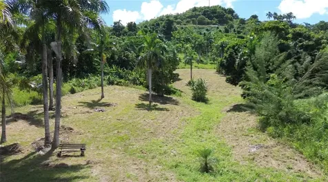 PR-992 Km 5.7 Bello Sitio Mameyes, Lot 9 Luquillo PR 00773