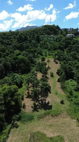 PR-992 Km 5.7 Bello Sitio Mameyes, Lot 9 Luquillo PR 00773
