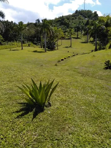 PR-992 Km 5.7 Bello Sitio Mameyes, Lot 9 Luquillo PR 00773