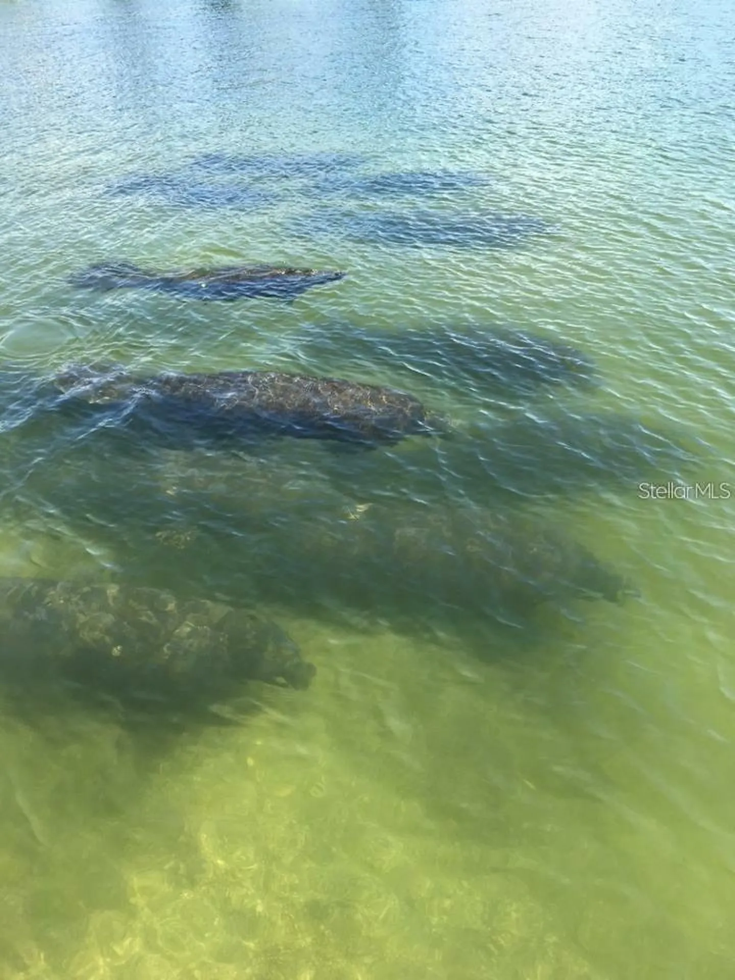 4024 Casey Key Road Nokomis FL 34275