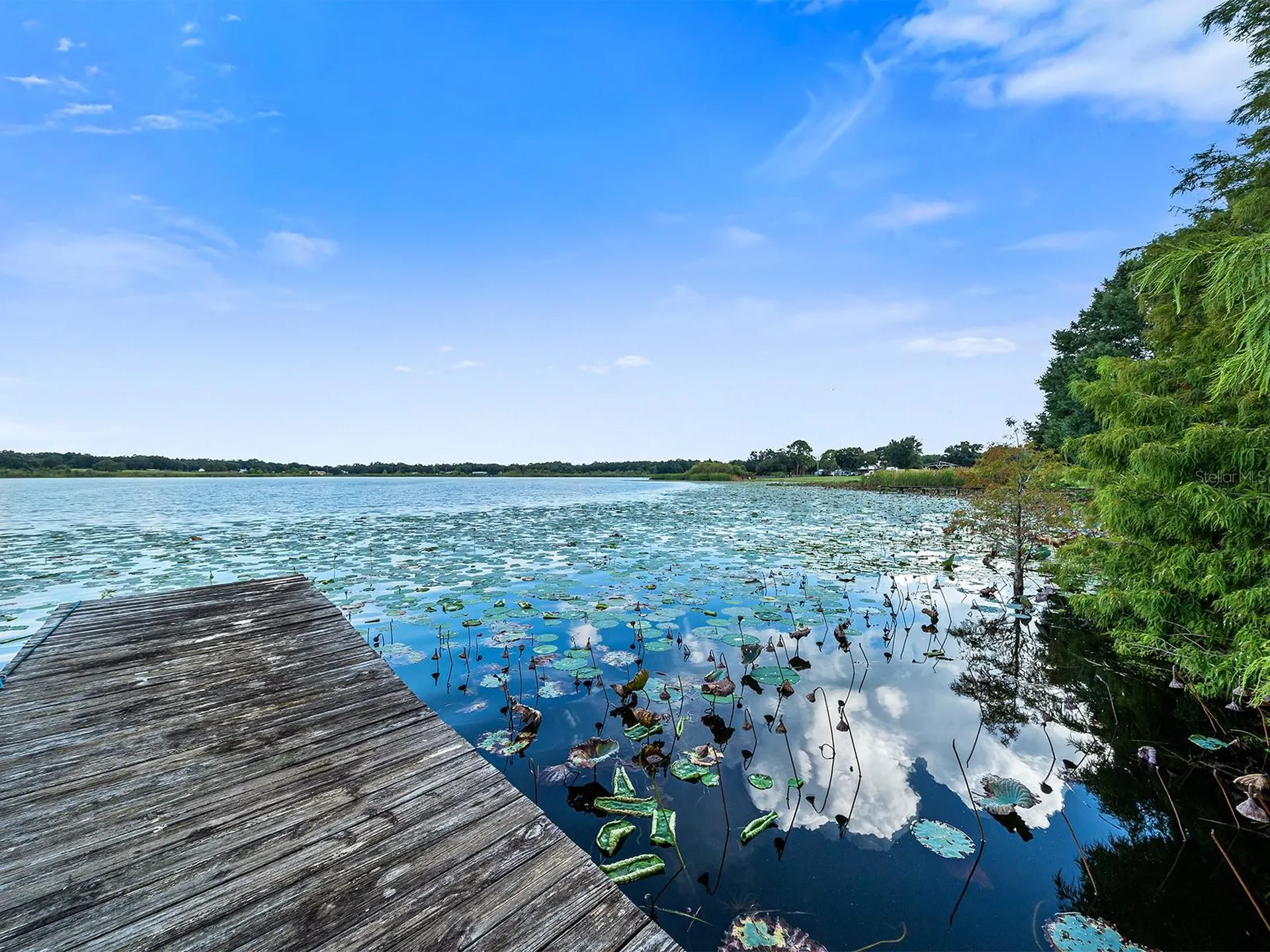 126 Bermuda Court Winter Haven FL 33880