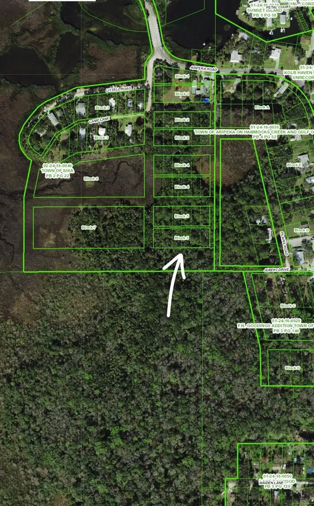 Aripeka Road Hudson FL 34667