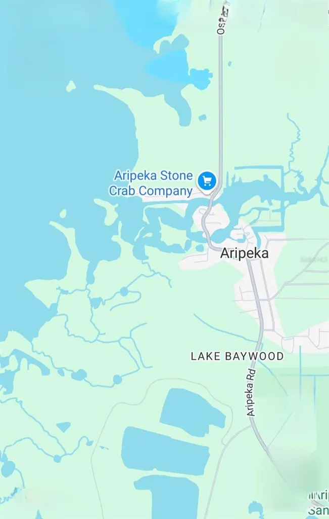 Aripeka Road Hudson FL 34667