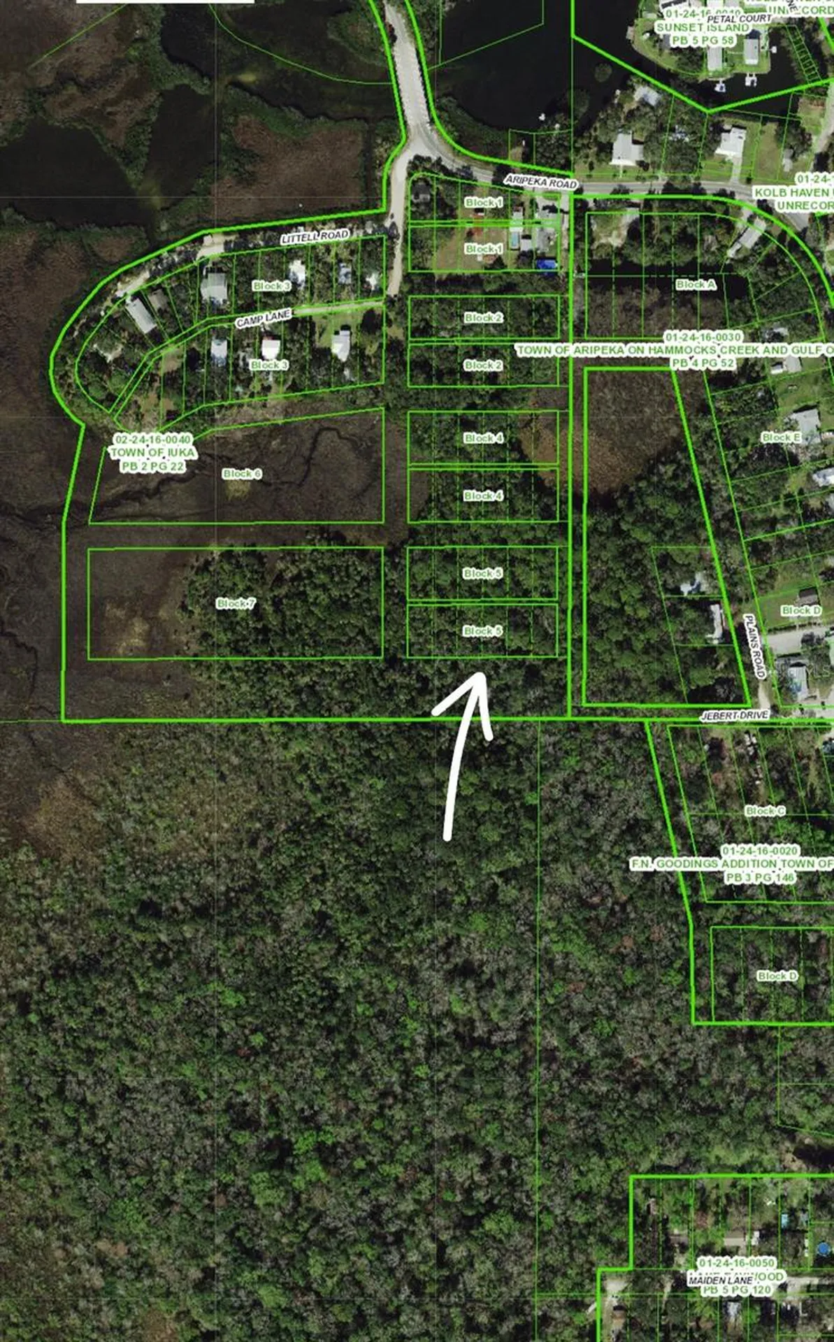 Aripeka Road Hudson FL 34667