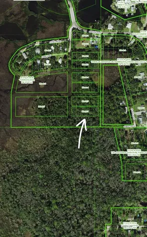 Aripeka Road Hudson FL 34667