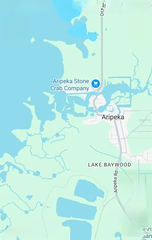 Aripeka Road Hudson FL 34667