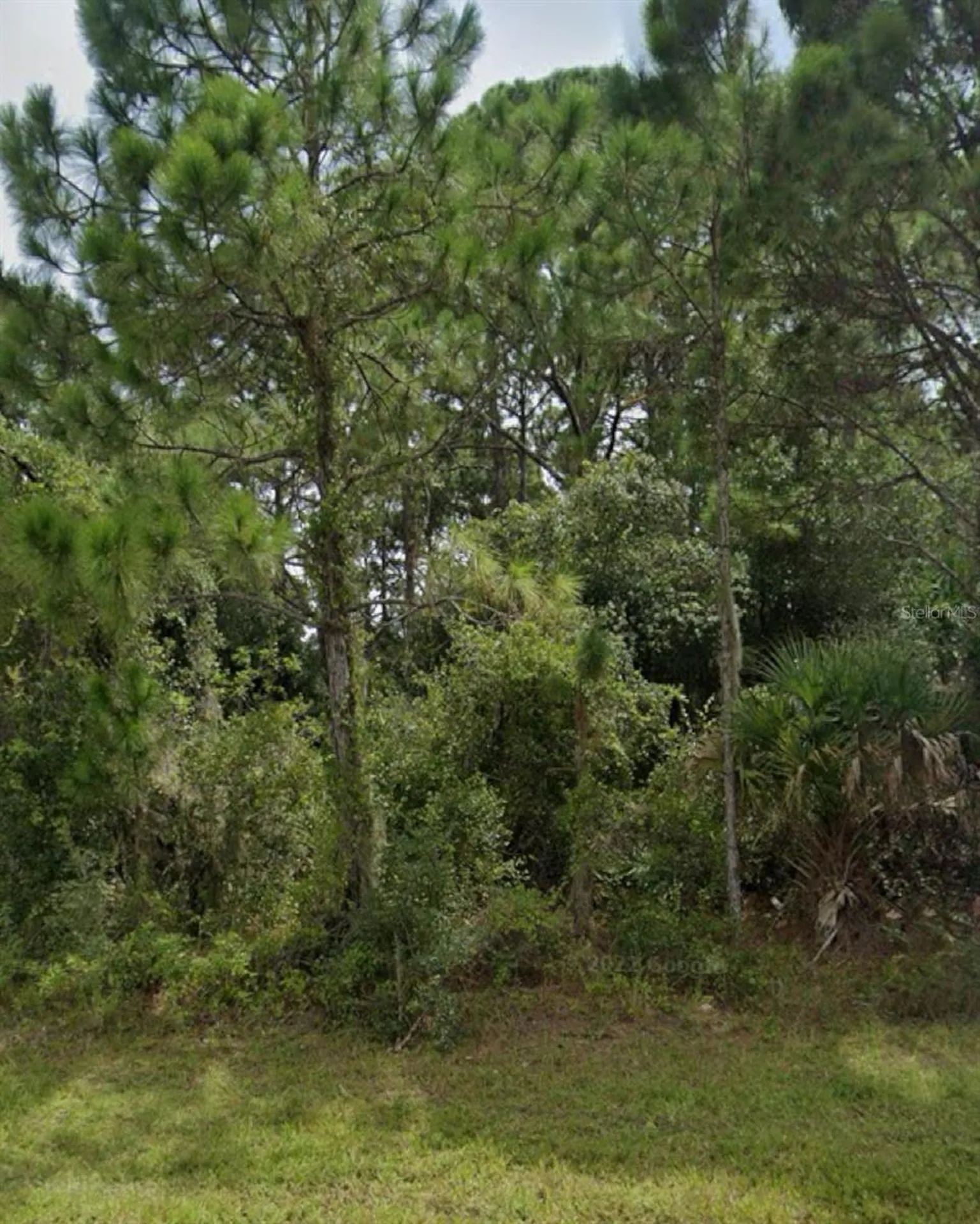 13343 Chamberlain Boulevard Port Charlotte FL 33953