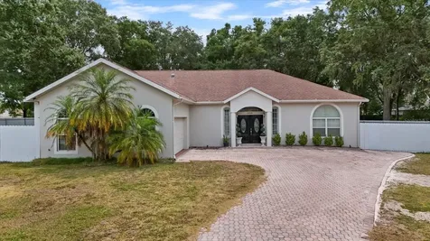 23044 Brownwood Court Land O Lakes FL 34639