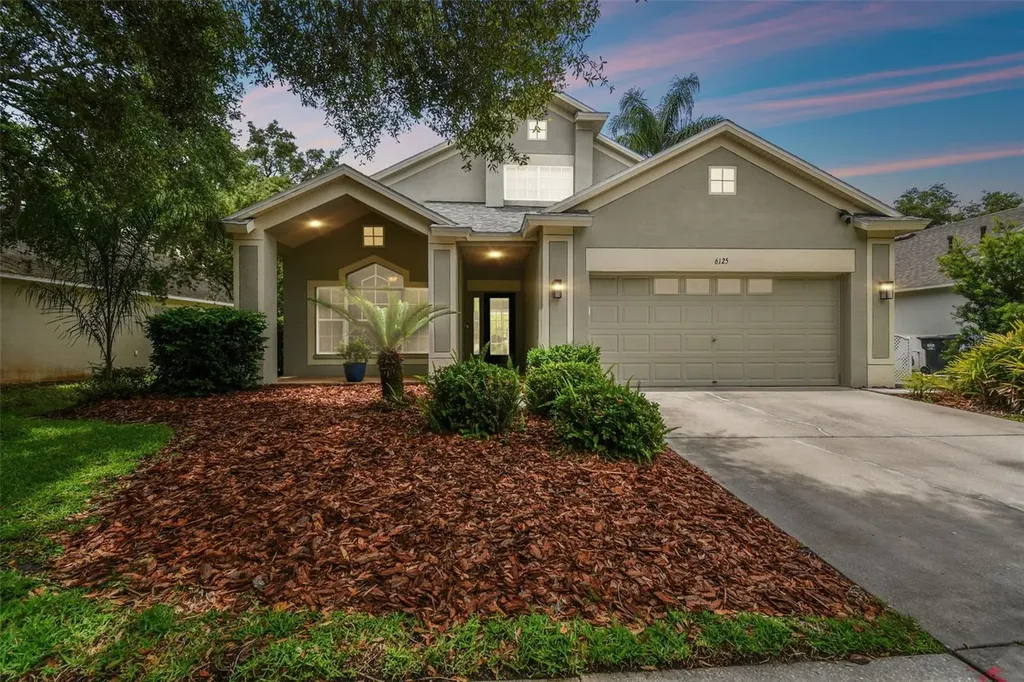 6125 Gannetdale Drive Lithia FL 33547