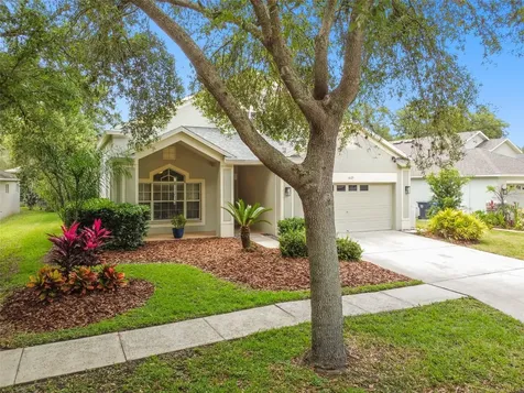 6125 Gannetdale Drive Lithia FL 33547