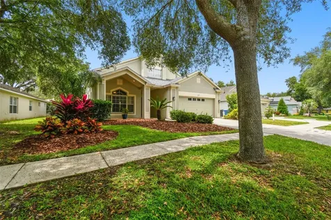 6125 Gannetdale Drive Lithia FL 33547