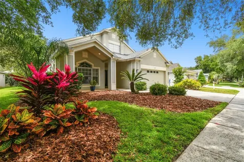 6125 Gannetdale Drive Lithia FL 33547